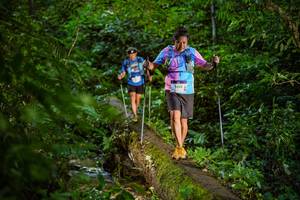 BIB: 2096
                            <button type="button" onclick="openModal(18923241)" class="btn btn-primary btn-sm float-right btn-popup" data-toggle="modal" data-target=".modal-high-quality">
                        <i class="fas fa-shopping-cart"></i> Add to Cart
                    </button>
                                            <button type="button" onclick="isThisMe(18923241, true)" class="btn btn-success btn-sm float-right btn-popup btn-isme hidden" data-toggle="tooltip" data-placement="bottom" title="นี่คือรูปของคุณใช่ไหม คลิกที่นี่เพื่อเอาเข้าอัลบั้ม">
                        <i class="fas fa-plus"></i> Add to album
                    </button>
                    <button type="button" onclick="isThisMe(18923241, false)" class="btn btn-warning btn-sm float-right btn-popup btn-isnotme hidden">
                        <i class="fas fa-ban"></i> Remove from album
                    </button>